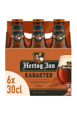 Hertog Jan Karakter 300ml, 6 sticle, Import Olanda