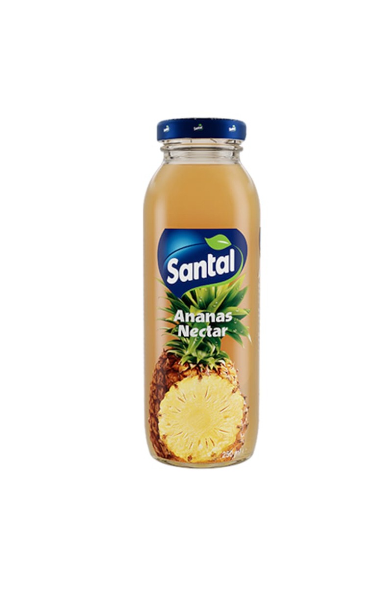Santal 50% Nectar de Ananas 250 ml