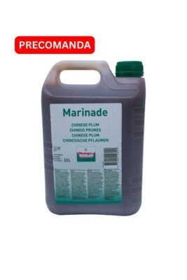 Verstegen Marinade Chinese Plum 2,5 l